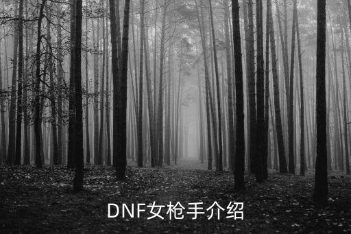 DNF女枪手介绍