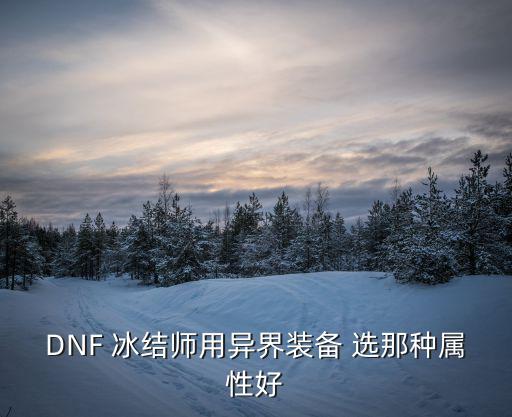 DNF 冰结师用异界装备 选那种属性好