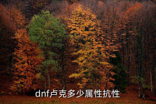 dnf卢克团什么属性，dnf卢克多少属性抗性