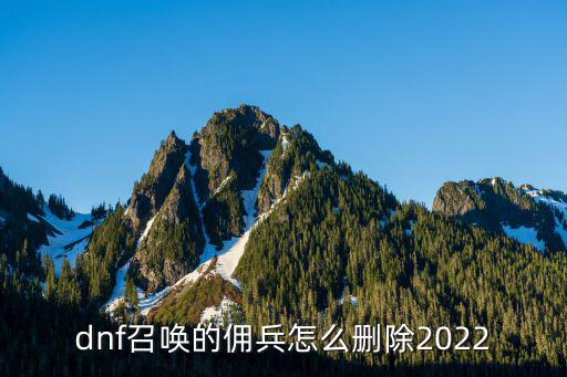 dnf召唤的佣兵怎么删除2022