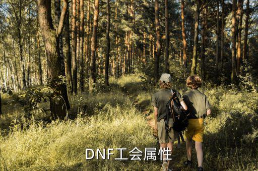 DNF工会属性