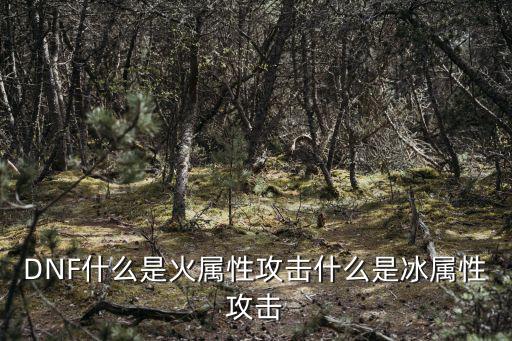 DNF什么是火属性攻击什么是冰属性攻击