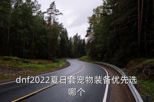 dnf2022夏日套宠物装备优先选哪个