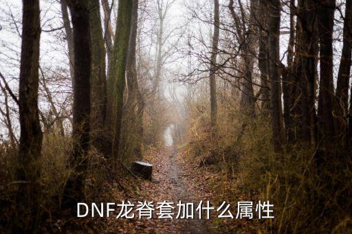 DNF龙脊套加什么属性