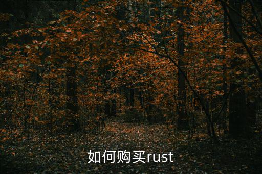 如何购买rust