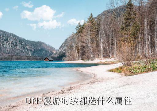 dnf时装漫游买什么属性，DNF漫游枪手时装什么属性