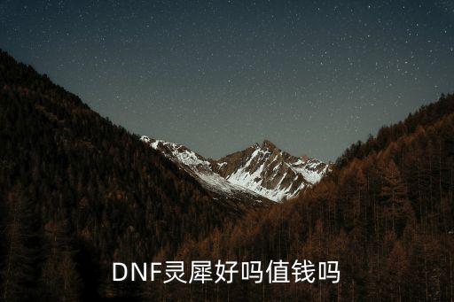 DNF灵犀好吗值钱吗