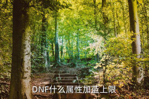 DNF什么属性加蓝上限