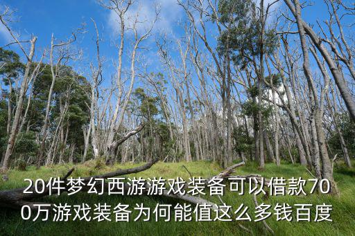 20件梦幻西游游戏装备可以借款700万游戏装备为何能值这么多钱百度