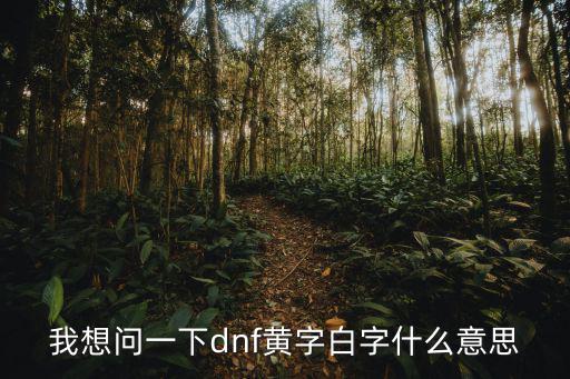 我想问一下dnf黄字白字什么意思