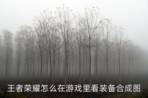 王者荣耀怎么在游戏里看装备合成图