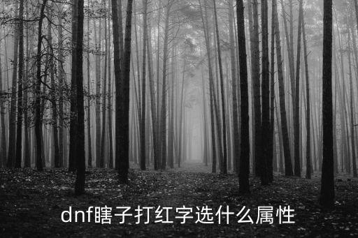 dnf瞎子打红字选什么属性