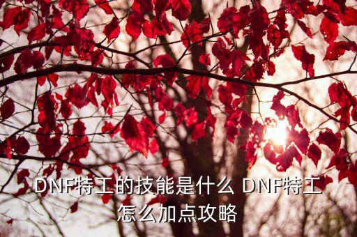 DNF特工的技能是什么 DNF特工怎么加点攻略