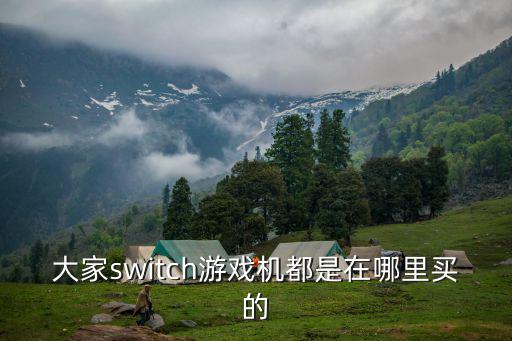 大家switch游戏机都是在哪里买的