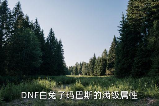 DNF白兔子玛巴斯的满级属性