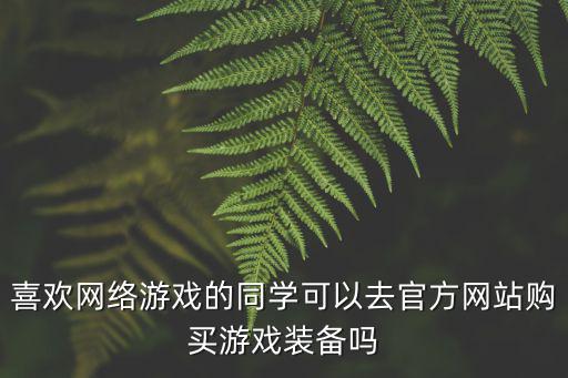 喜欢网络游戏的同学可以去官方网站购买游戏装备吗