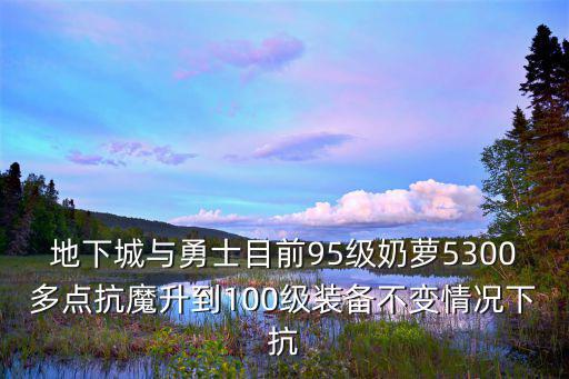 地下城与勇士目前95级奶萝5300多点抗魔升到100级装备不变情况下抗