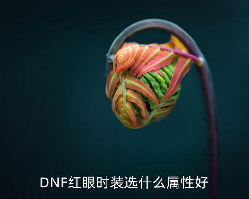 DNF红眼时装选什么属性好