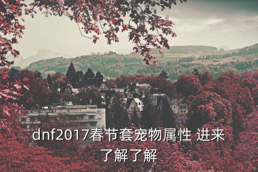 dnf热舞宠物什么属性，dnf2017春节套宠物属性 进来了解了解