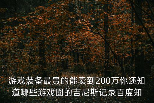 游戏装备最贵的能卖到200万你还知道哪些游戏圈的吉尼斯记录百度知