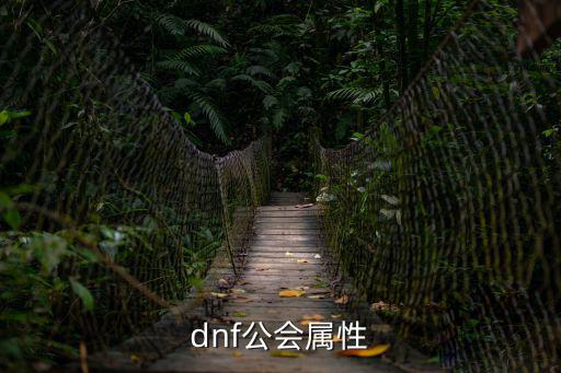 dnf公会属性