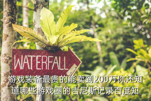 游戏装备最贵的能卖到200万你还知道哪些游戏圈的吉尼斯记录百度知