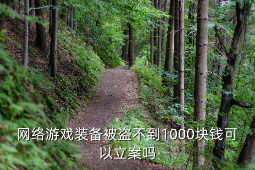 盗游戏装备 多少立案，网络游戏装备被盗不到1000块钱可以立案吗