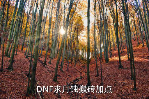 DNF求月蚀搬砖加点