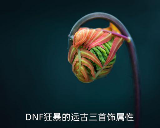 DNF狂暴的远古三首饰属性