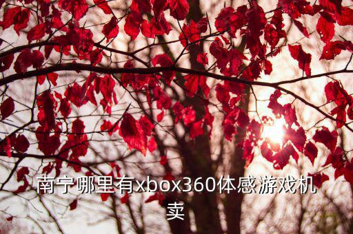 南宁哪里有xbox360体感游戏机卖