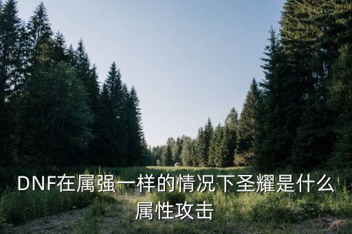 DNF在属强一样的情况下圣耀是什么属性攻击