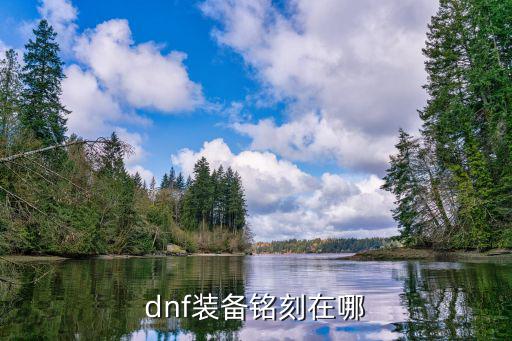 游戏装备刻印在哪里做，dnf装备铭刻在哪