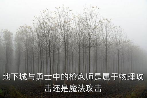 dnf枪炮属于什么属性，DNF里的枪炮师应加什么属性