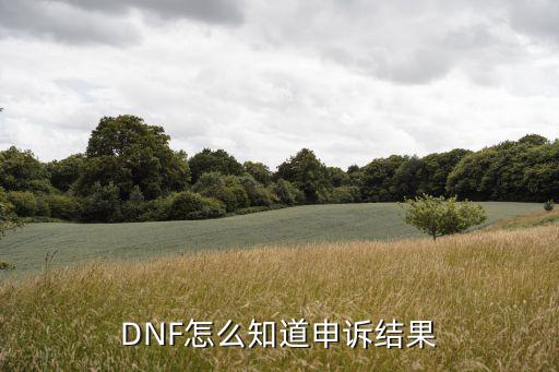 DNF怎么知道申诉结果