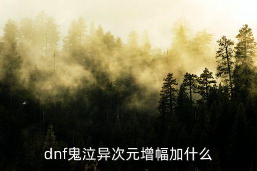 dnf鬼泣异次元增幅加什么