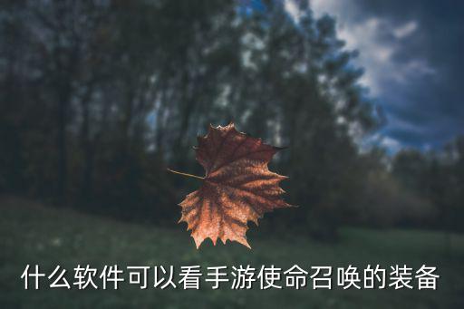 什么软件可以看手游使命召唤的装备