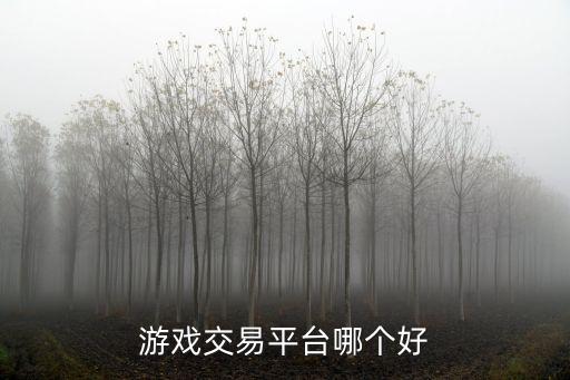 游戏装备交易在哪里好，靠谱的游戏账号交易平台有哪些