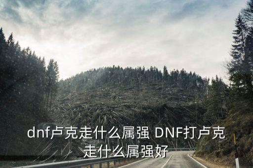 dnf卢克走什么属强 DNF打卢克走什么属强好