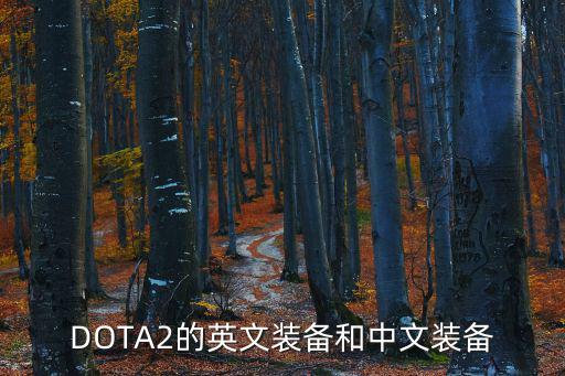 DOTA2的英文装备和中文装备