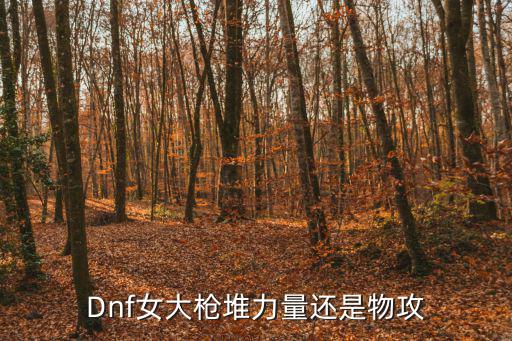 Dnf女大枪堆力量还是物攻