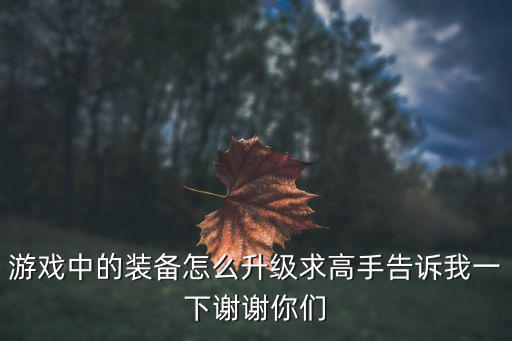 游戏中的装备怎么升级求高手告诉我一下谢谢你们