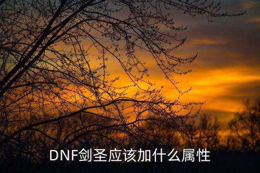 dnf剑圣最吃什么属性，DNF剑圣应该加什么属性