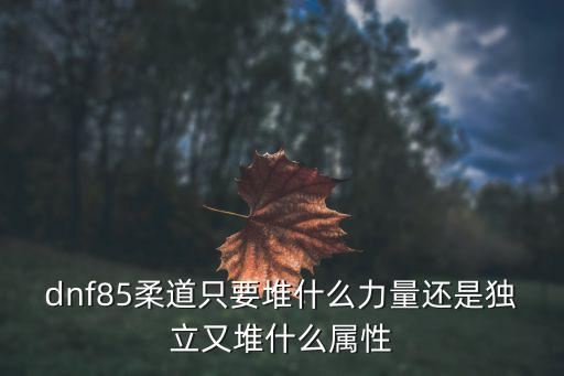 dnf85柔道只要堆什么力量还是独立又堆什么属性