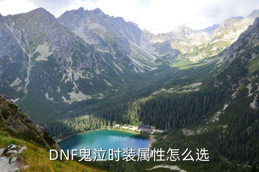 DNF鬼泣时装属性怎么选