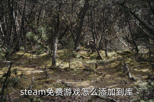 steam免费游戏怎么添加到库