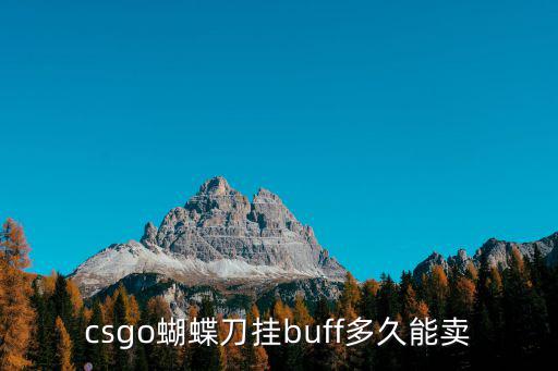 csgo蝴蝶刀挂buff多久能卖