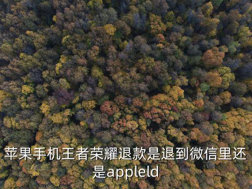 苹果手机王者荣耀退款是退到微信里还是appleld