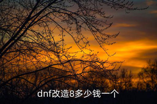 dnf改造8多少钱一个