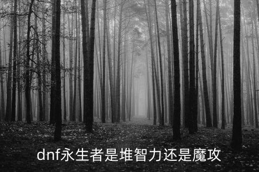 dnf永生者是堆智力还是魔攻