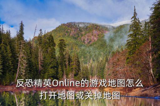 反恐精英Online的游戏地图怎么打开地图或关掉地图